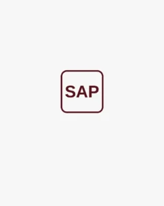 SAP certified best freelance digital marketer in Abu Dhabi